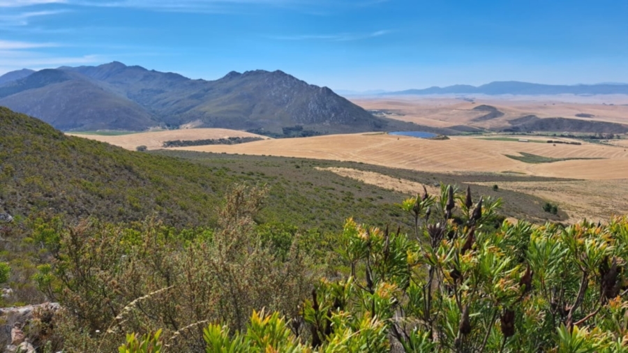 0 Bedroom Property for Sale in Caledon Rural Western Cape